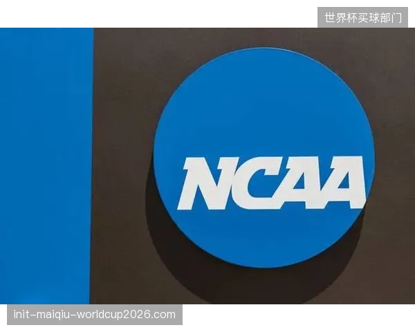 德国队应在TikTok和Instagram上推出更多球员第一视角内容，提升年轻粉丝粘性。